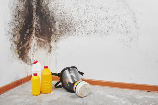 Best Crawl Space Mold Removal  in Bloomsburg, PA